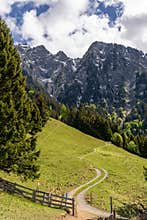 gravel road leading through mountain heath and forest with snow-capped mountains in the background