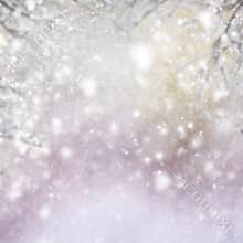 Christmas background with fir tree and gleaming