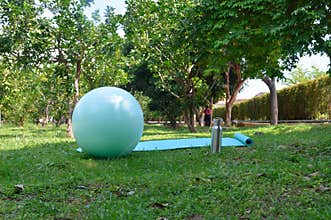 Centered Straight Front View of Yoga Mat in Orchard