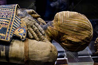 Egyptian Mummy with Horus on chest