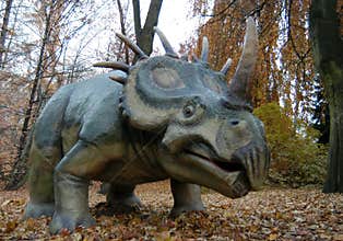 Styracosaurus
