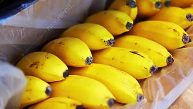 Yellow bananas displayed. Arrangement of vibrant yellow bananas under store lighting. Colorful banana display on tray with store