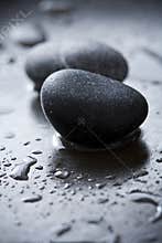 Rocks