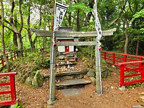 A small shrine in the forest