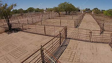 Livestock Auction Yards Aerial View