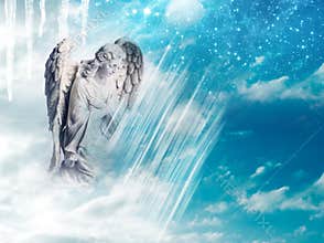 Winter angel