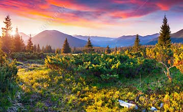Dramatic summer sunset in Carpathian mountains.