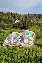 Quilt rock near Bonavista, Newfoundland
