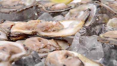 Full plate of oysters