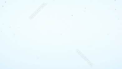 Water bubbles and action over white background