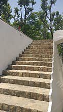 Metaphor ladder step to success