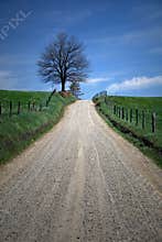 COUNTRY ROAD
