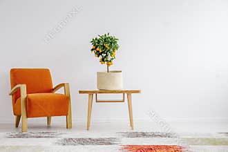 Tropical accent in stylish interior