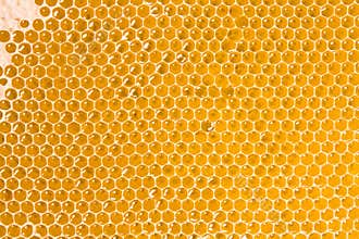 Honeycomb