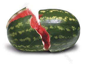 Cracked watermelon