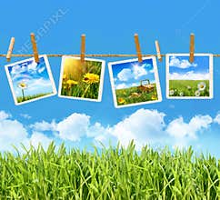 Tall grass with four pictures on clothesline