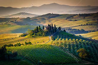 The Tuscan Landscape