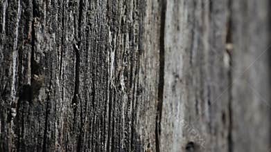 Old black wooden texture background