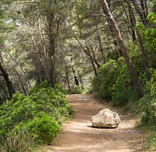 Road or trail blocked by big rock. Overcome an obstacle.