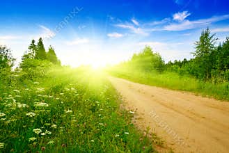 Road from sand