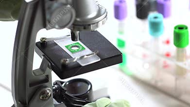 Scientist working with miscroscope in laboratory