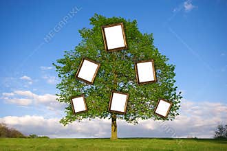 Family Tree