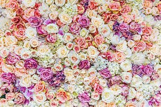 Flowers wall background with amazing red and white roses, Wedding decoration, hand made