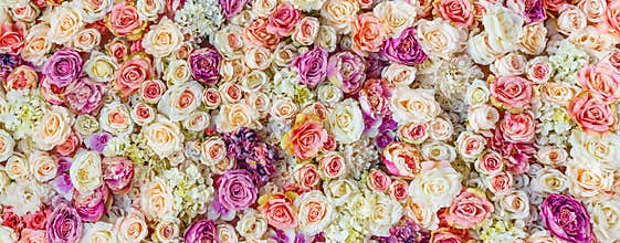 Flowers wall background with amazing red and white roses, Wedding decoration