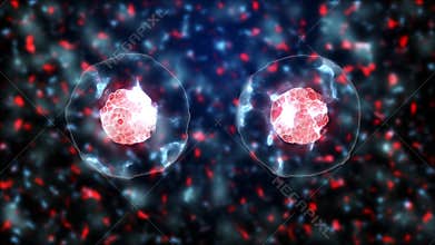 Cells dividing colorful closeup