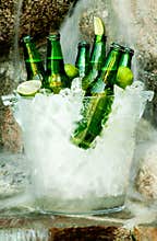 Cold beer
