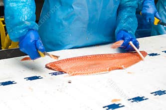 Fish factory salmon production