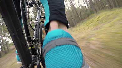 Cyclist riding mountain bike on forest trail