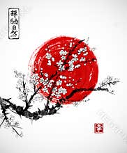 Sakura in blossom and red sun, symbol of Japan on white background. Contains hieroglyphs - zen, freedom, nature