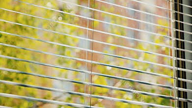 Blinds on the window open and close. Outside the window, spring, a clear sunny day