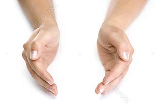 Woman hands isolated in white background