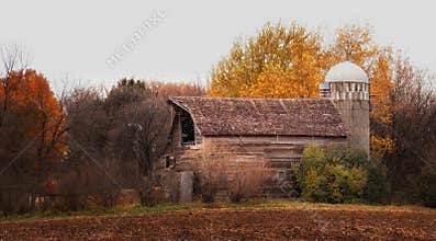 Old Barn - 6