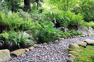 Woodland shade garden path