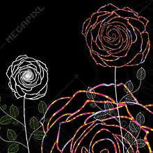 Night rose