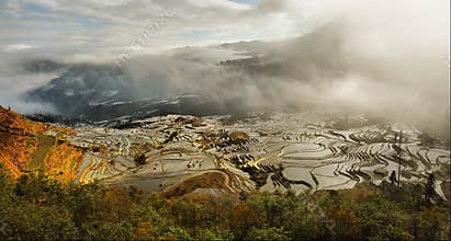 Chinese terrace farm