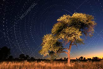 Star circles