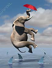Business Risk, Goals, Sales, Marketing