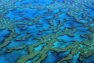 Great Barrier Reef - Australia