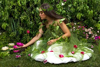 Enchanted Garden