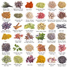Spices set isolated on a white background