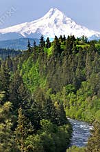 Mount Hood with River in Foreground