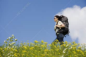 Traveller