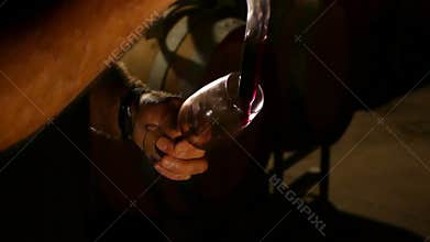 Wine Glass filled for wine quality test