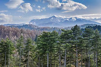 Carpathian Mountains landscape