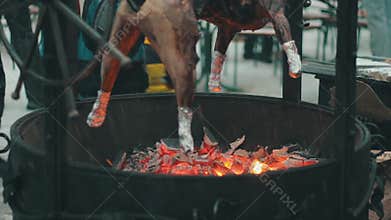 Hog roasts on the grill