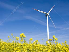 Windmill in yellow field